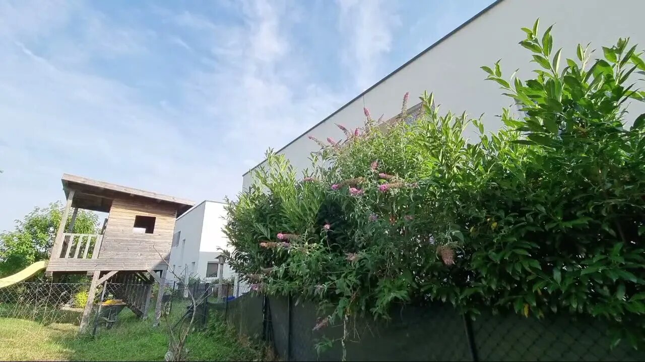 Highlight 5:50:19 – 5:55:19 von Silent Long LIVE for wh update IN THE GARDEN IN VERY BEAUTIFUL WEATH