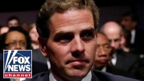 Chinese-linked firm paid Hunter Biden $100k: GOP senators