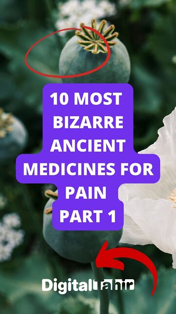 10 Most Bizarre Ancient Medicines For Pain Part 1