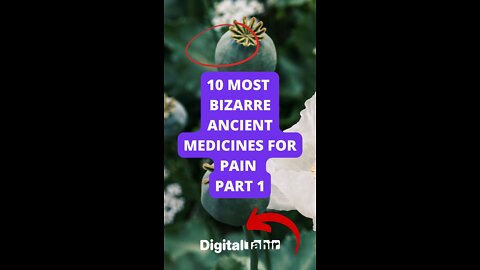 10 Most Bizarre Ancient Medicines For Pain Part 1