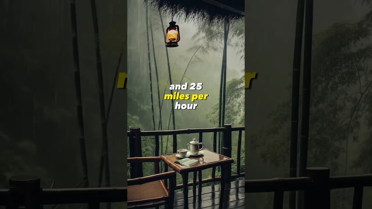 A Rain drops Top speed!