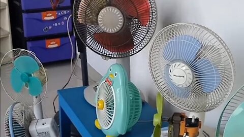 fan collection