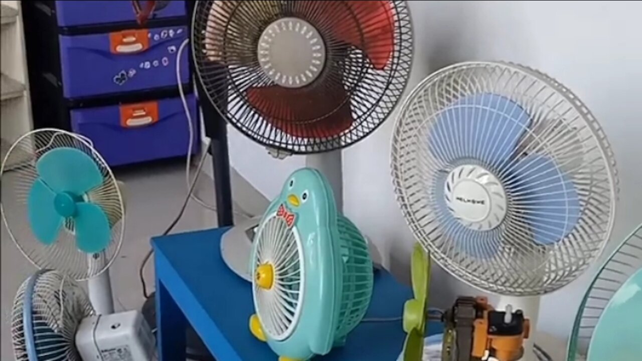 fan collection