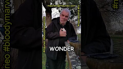 maurieo #shorts WONDERS ABOUT KEY LIFE ISSUES