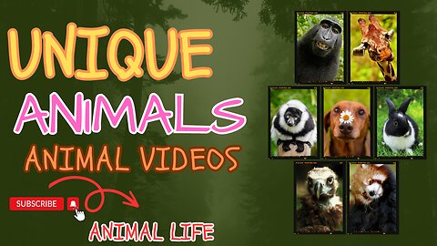10 Unique Animals You Won’t Believe Exist...!!