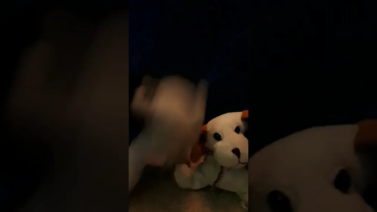 lil sneakers's new song