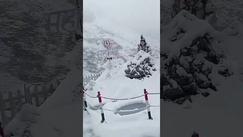 #drivingfails #shorts