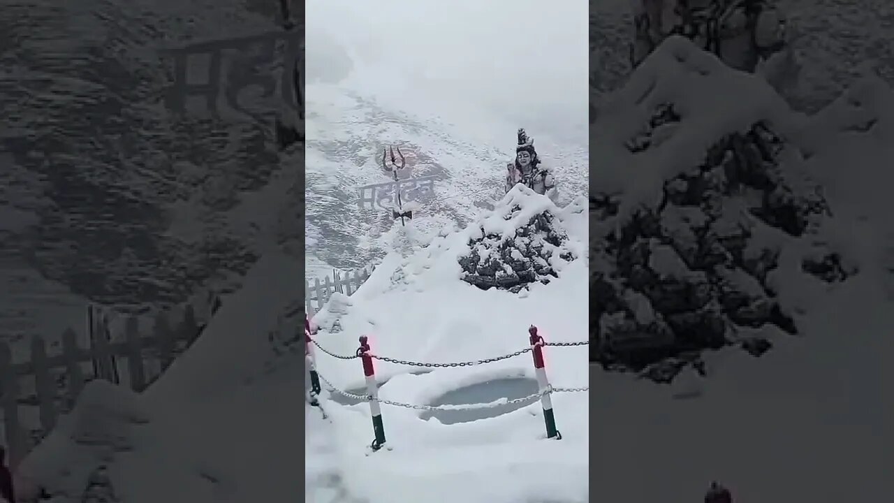 #drivingfails #shorts