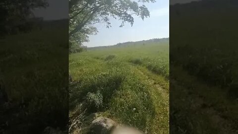 First trek since getting put of quarantine pt. 2