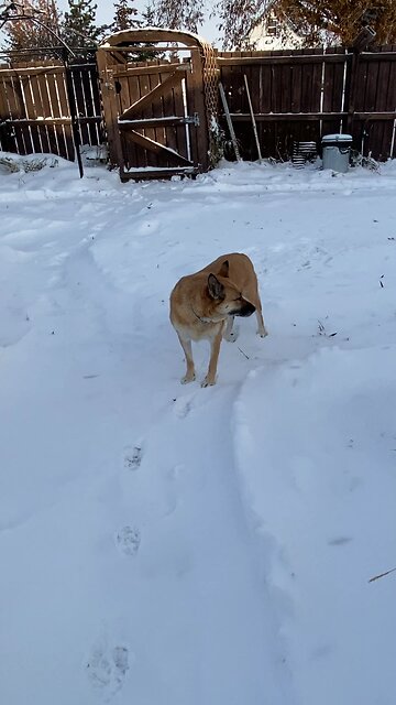 cute carly stretching in the snow.