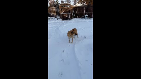 cute carly stretching in the snow.