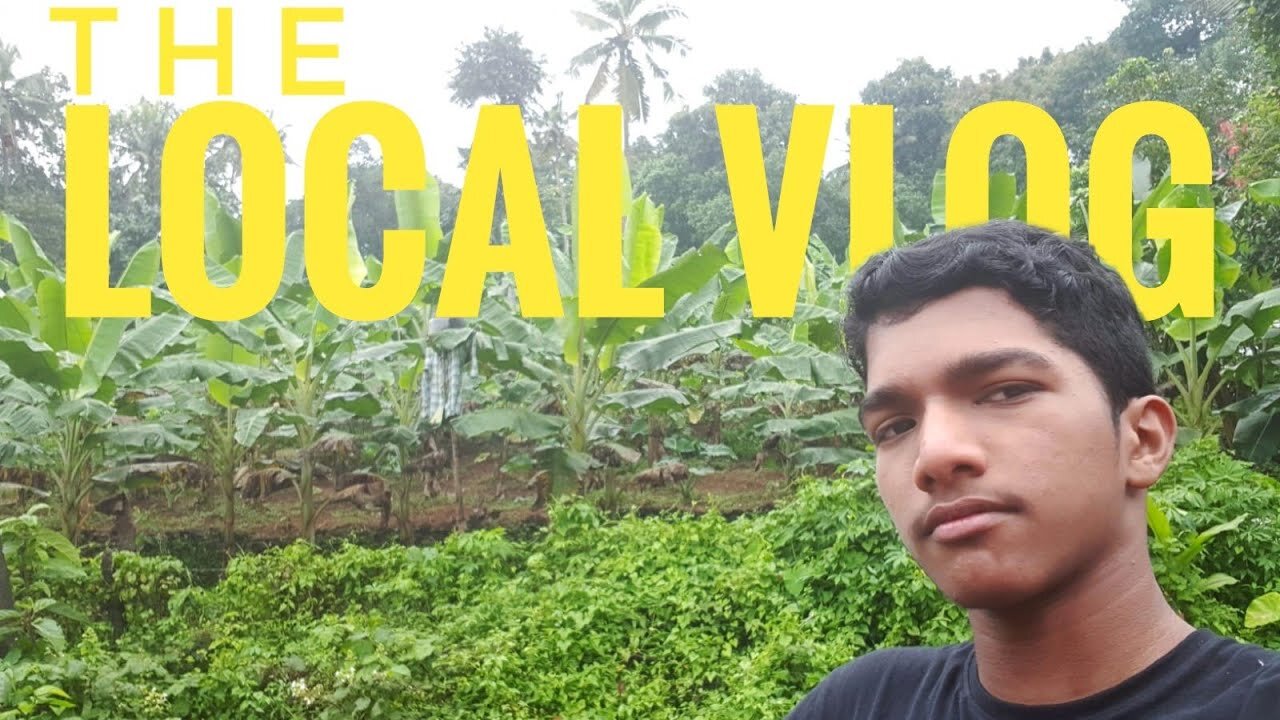 The Local view Vlog no.10 | Vlog No - 10 | Nv Vlogz