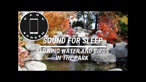 Sound for sleep Flowing Water and Birds in the Park Dark Screen 3 hours