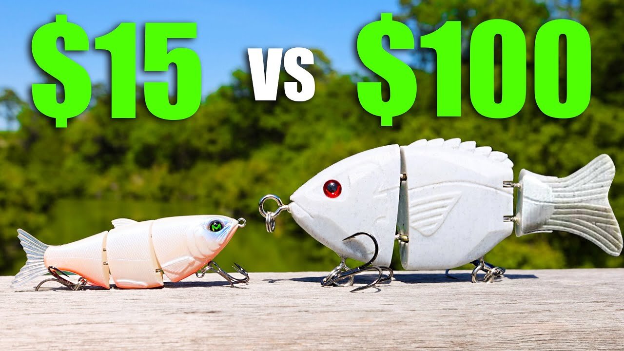 CHEAP vs EXPENSIVE Swimbait Fishing TOURNAMENT!!! (INSANE)