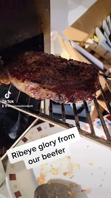 #steak #beefer #tamararoseblodgett