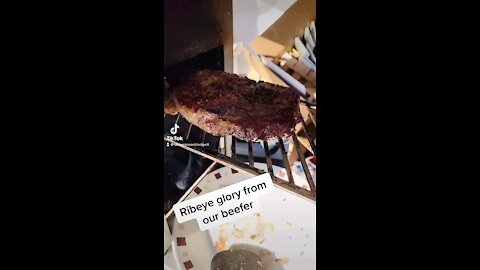 #steak #beefer #tamararoseblodgett