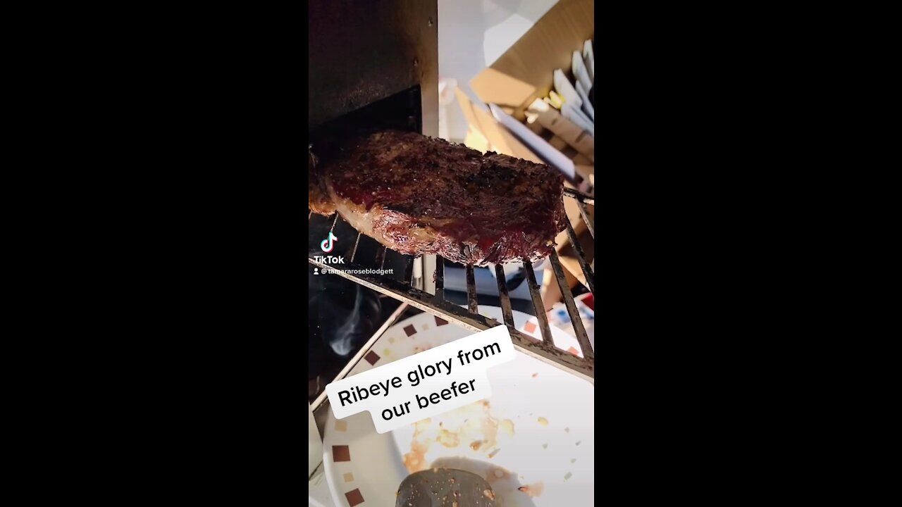 #steak #beefer #tamararoseblodgett
