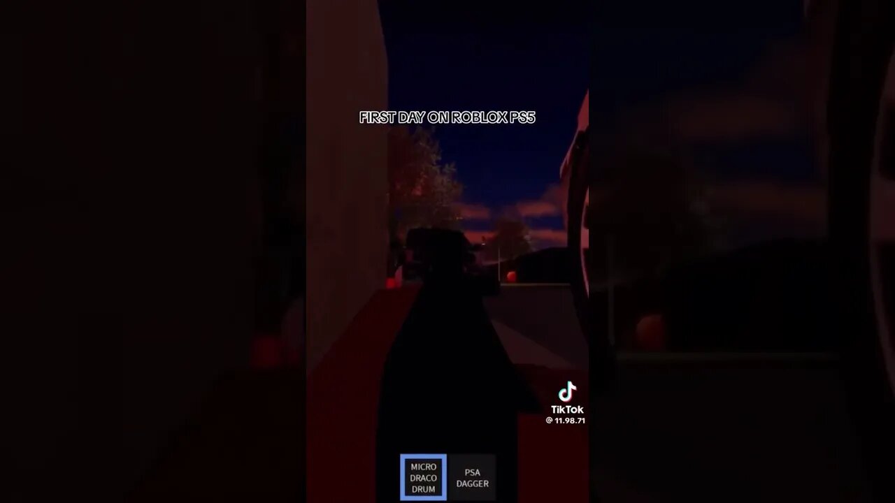 Roblox is fun #tiktok #roblox #ps5