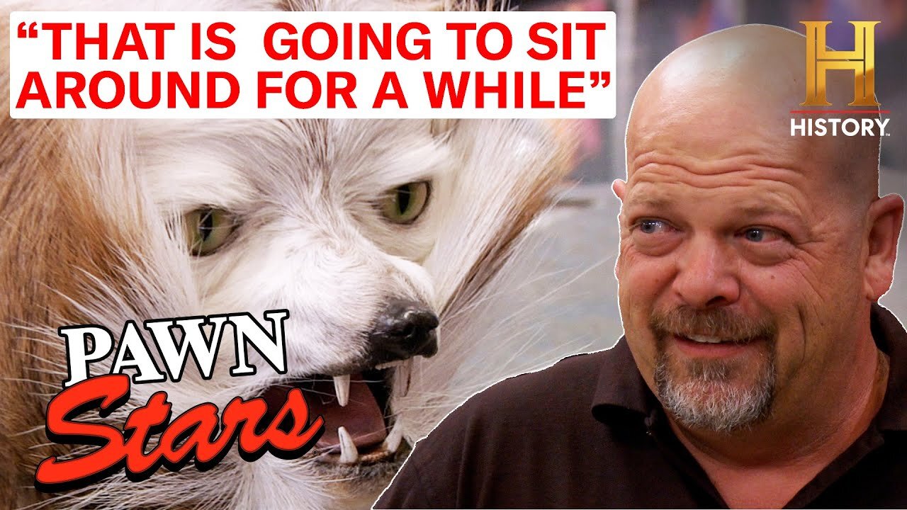 Pawn Stars: "To Buy or Not to Buy?!" Top 4 TOUGHEST Items to Sell