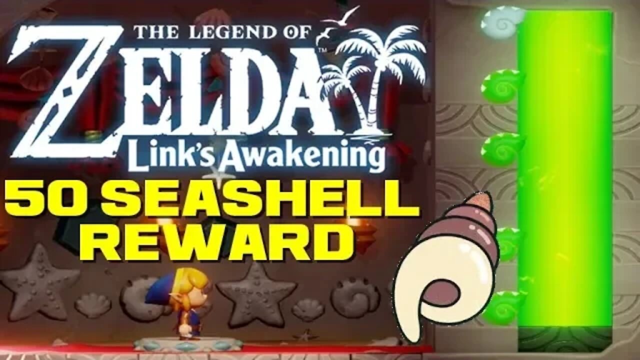 The Legend of Zelda: Link's Awakening - 50 Seashell Reward (Spoilers)