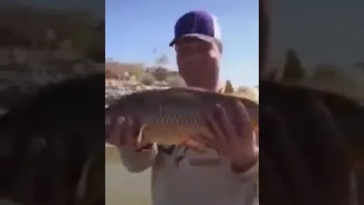 dad throws fish back onto land TikTok @justinwilliamson1 Tik Tok Archives