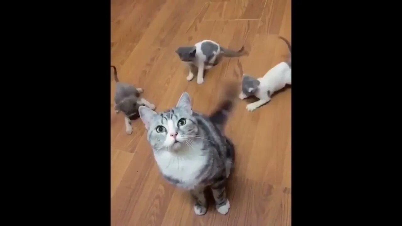 Best way to keep the young ones distracted