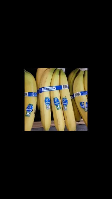 Organic Bananas?