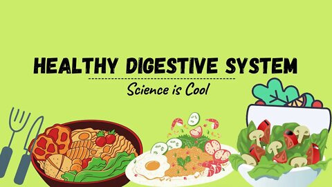 Science is cool - Maintaining a healthy digestive system