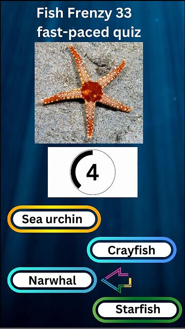 Fish Frenzy 33 A fast-paced quiz