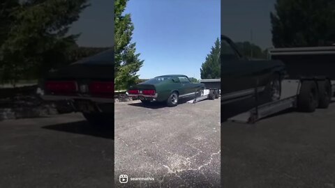 1967 Shelby GT500 on a Futura Trailer