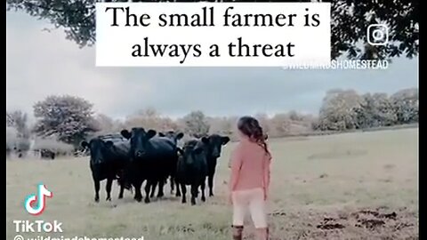 The Small Farmer is a Threat - Become Ungovernable - Become a Small Farmer