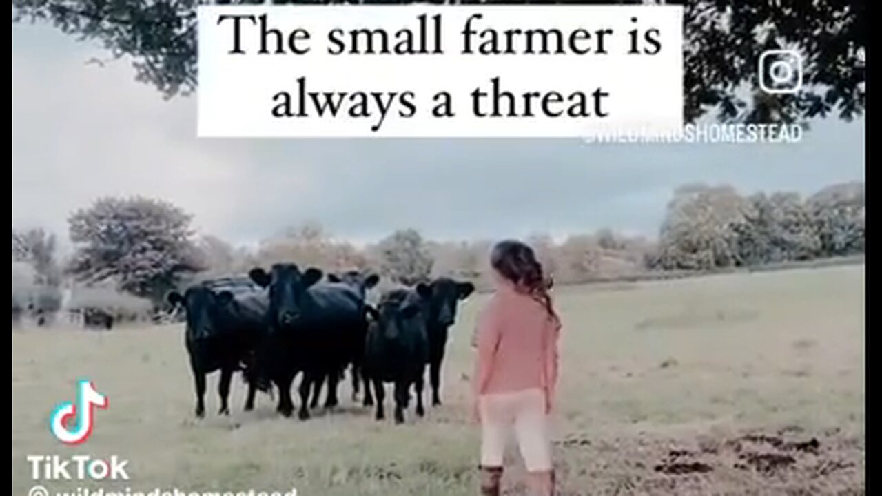 The Small Farmer is a Threat - Become Ungovernable - Become a Small Farmer