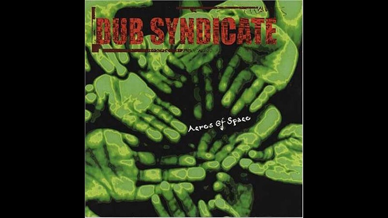 Dub syndicate - Acres of space