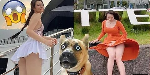 Funniest Animals Videos 2023 😍 Funniest Dogs And Cats 🐱🐶 #1
