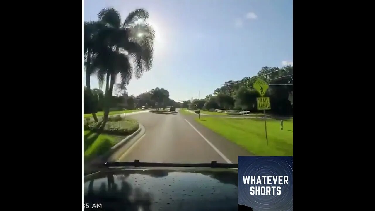 Driver gets harassed for no real reason in Florida #shorts #driving #bad #cars