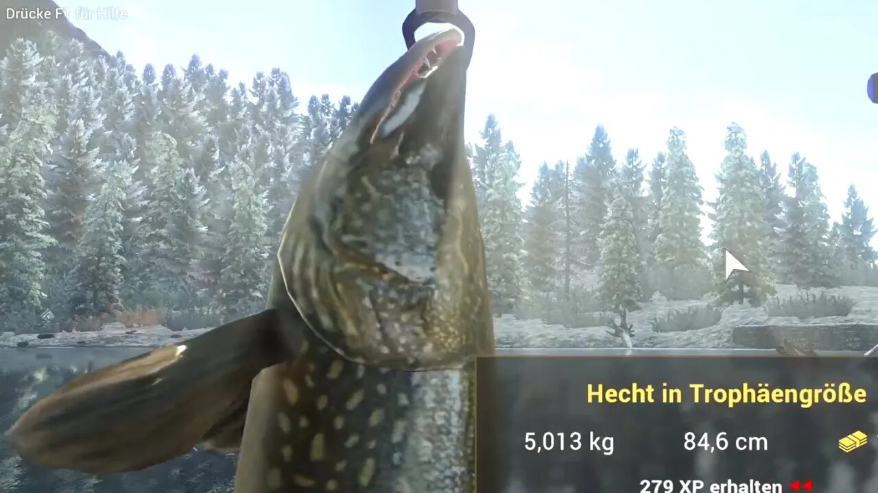 Fishing Planet Staffel 4 Folge 34 Mission Trophi Fische in Alberta Teil 2