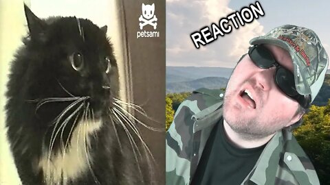 Talking Cat Says Oh Long Johnson REACTION!!! (BBT)