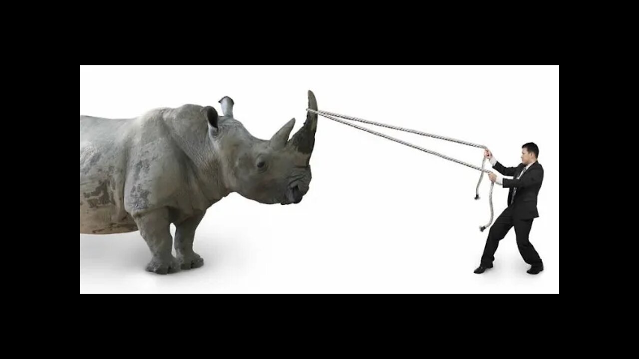 회색코뿔소가 온다, 미셀 부커, 장밋빛전망, 예측, 경제학자, 노벨 경제학상, 유진파마, 시카고대학, 확률, 리스크, 대책전담반, 안전거리유지, 최선의선택, 혁신, 고르디우스매듭