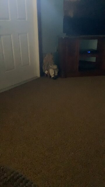 Creepy doll