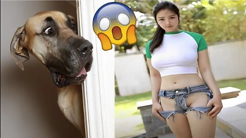 Funniest Animals Video - Funny Dogs And Cats - Try Not To Laugh Animals 2022