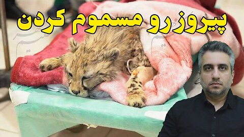 پیروز رو مسموم کردن