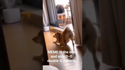 MEME is the one and only D-O double G #shorts #trending