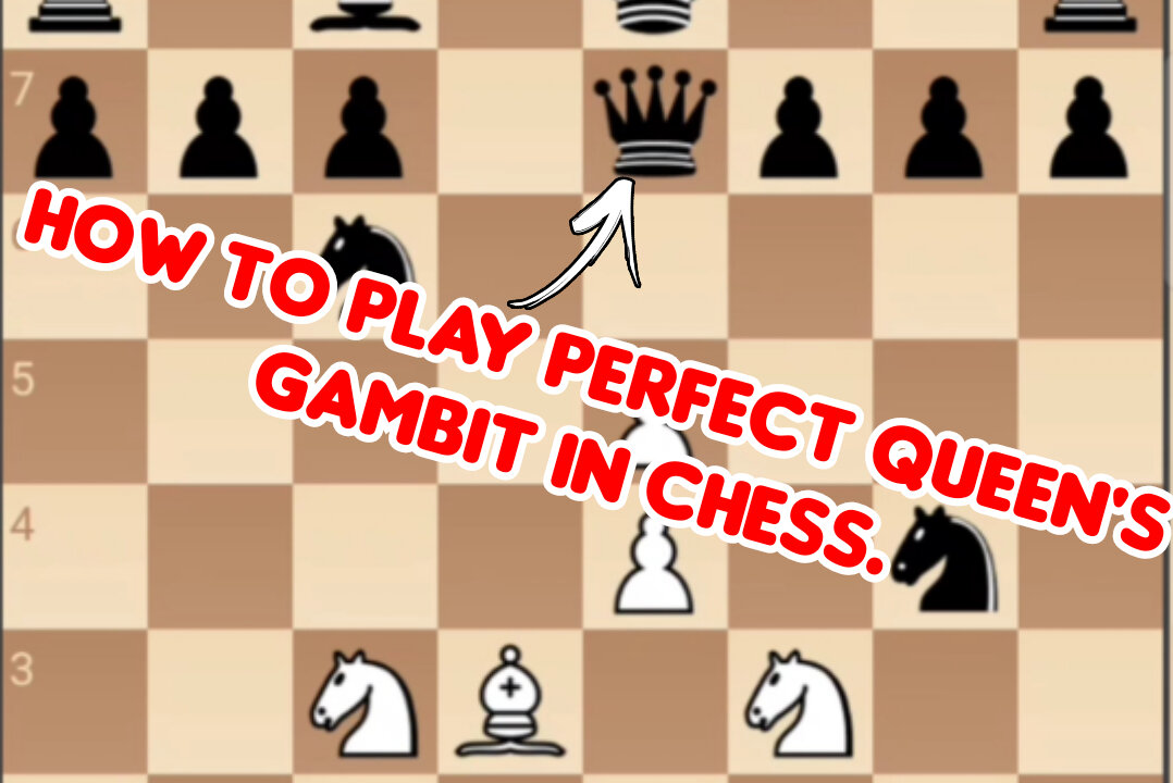 How To Play Queen Gambit In Chess. Perfect Tactics For Queen Gambit In Chess.