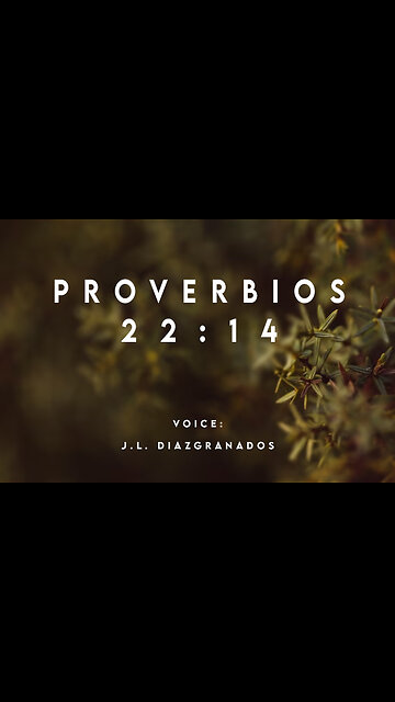 Proverbios 22:14