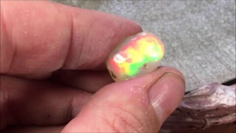 Incredible Welo Ethiopian Opal