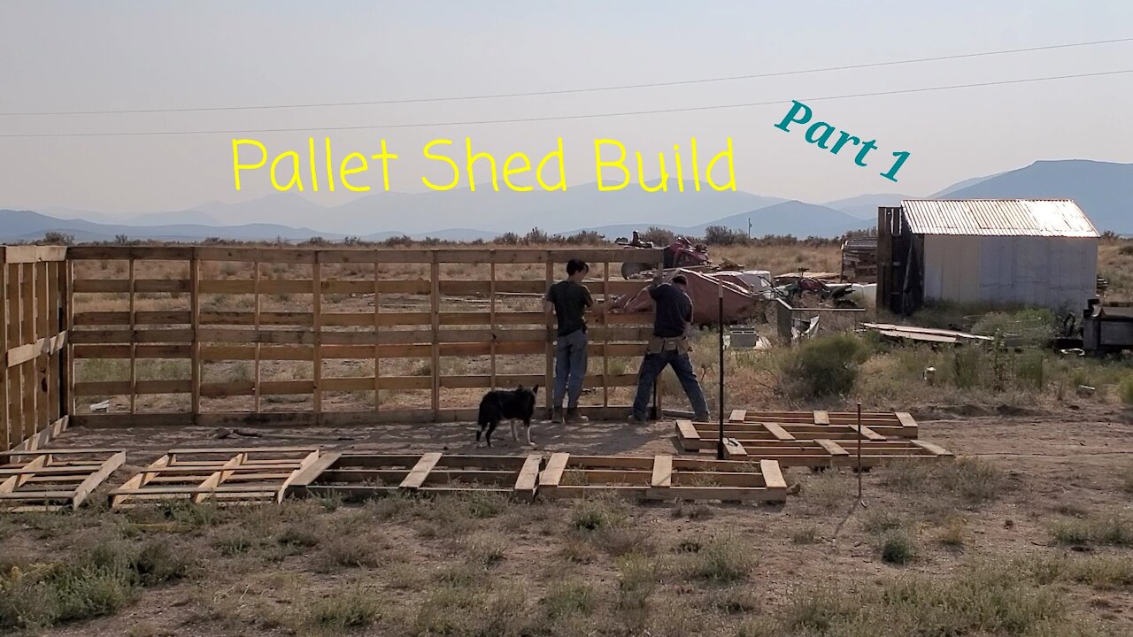 Pallet Shed Construction Part 1