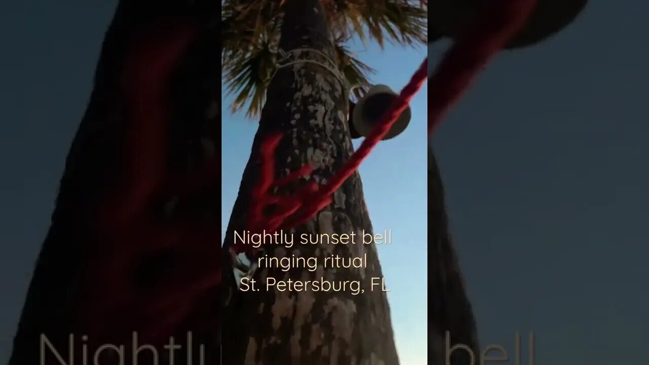 #shorts Nightly ringing of the sunset bell #saintpete #short #florida #ritual #sunset #beach #bell