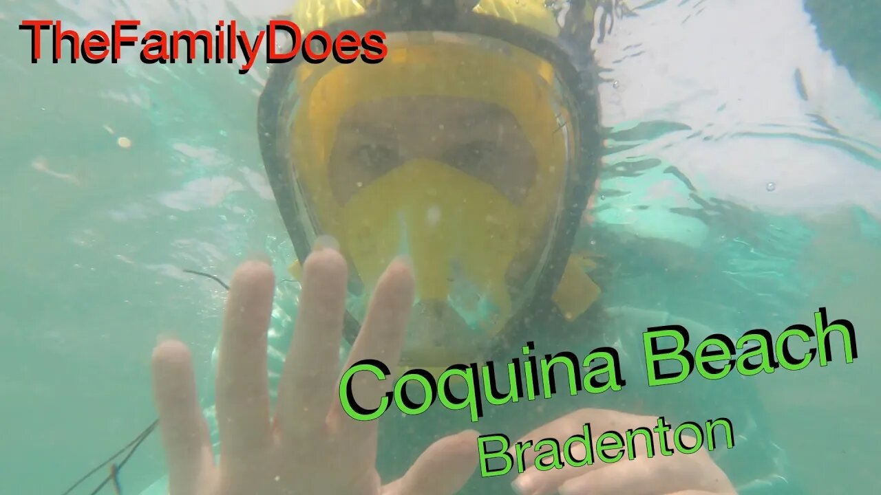 TheFamilyDoes Coquina Beach in Bradenton, Florida