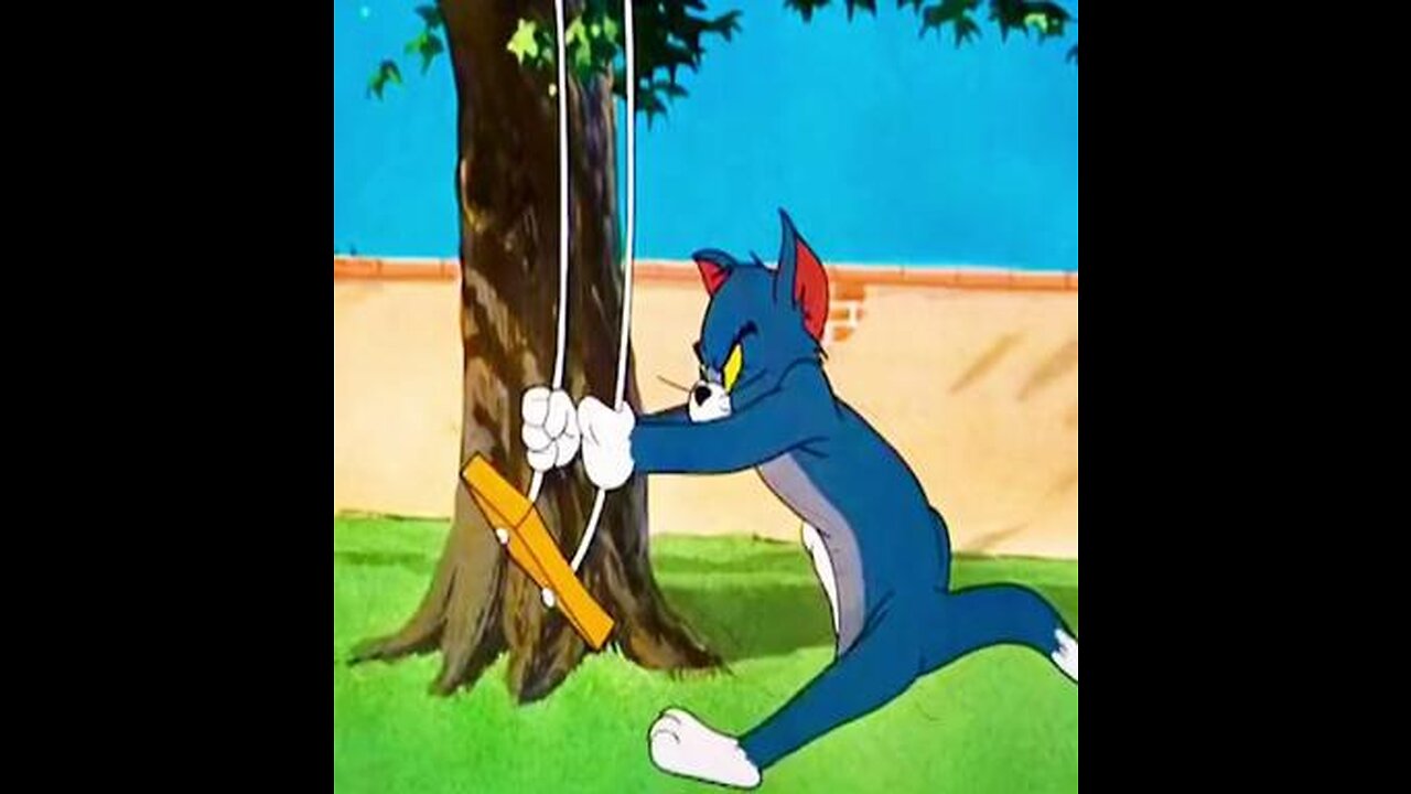 Tom and Jerry funny video so cute 🥰 😂😂😂😂