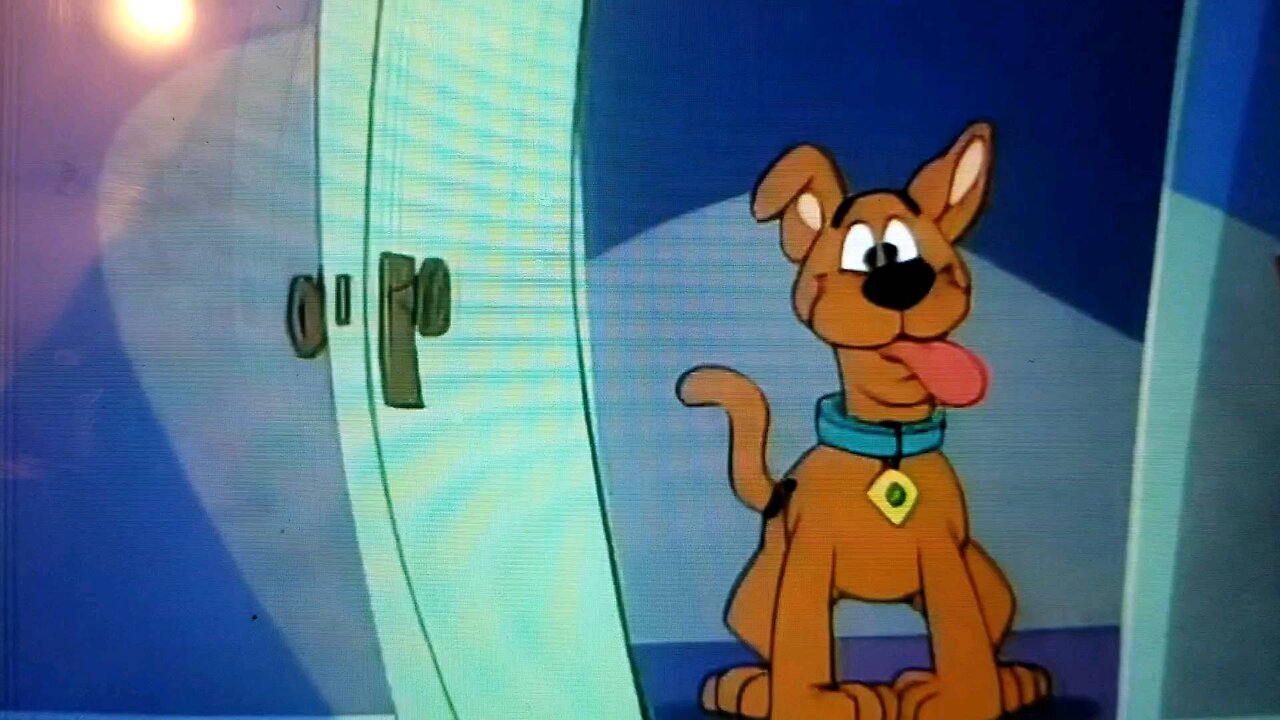 A pup named scooby-doo